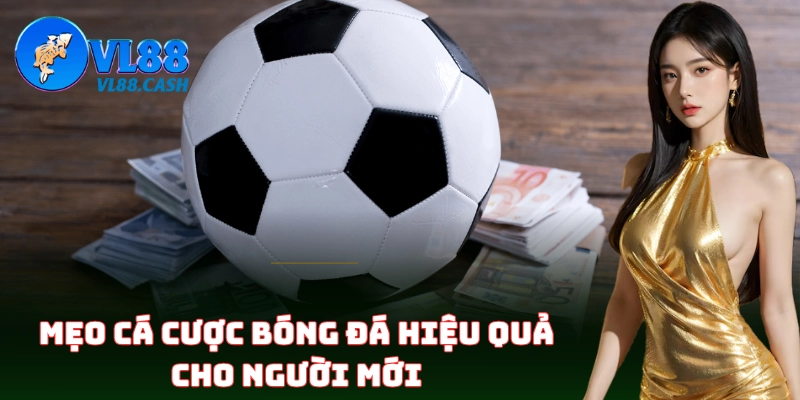 Bí quyết soi kèo Cá Cược Bóng Đá hiệu quả như dân chuyên